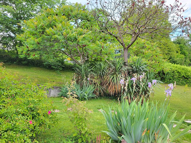 Le paradis des animaux chambre gite coublevie
