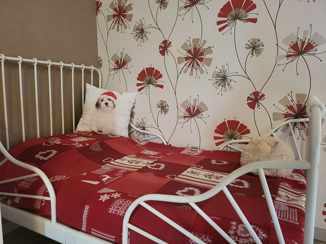 Le paradis des animaux chambre gite coublevie