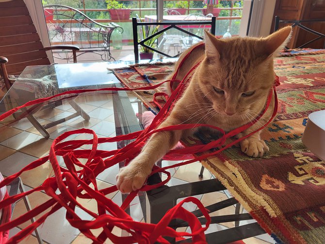 Le paradis des animaux chambre gite coublevie